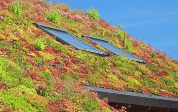 Grendon Bishop living roof systems